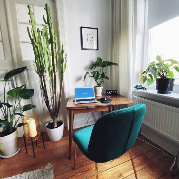 Photo of home office with plants by Catherina Schurmann